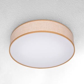 BRILAGI - LED Stmievateľné stropné svietidlo CARMEN LED/48W/230V 3000-6500K + DO