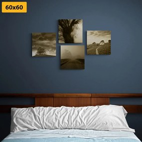 Set obrazov tajomná príroda v sépiovom prevedení - 4x 60x60