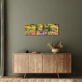 Obraz - Karibu na Aljaške (s hodinami) (90x30 cm)