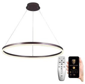 NEDES LED Stmievateľný luster na lanku LED/55W/230V 3000-6500K + diaľkové ovládanie ND3440