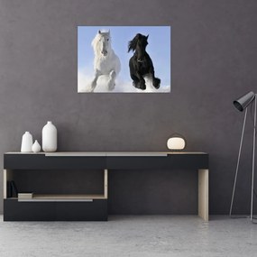 Obraz - Kone v zime (70x50 cm)