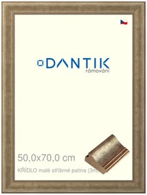 DANTIK rám na obraz 50x70 | KŘÍDLO malé stříbrné patina (Plexi Čiré)