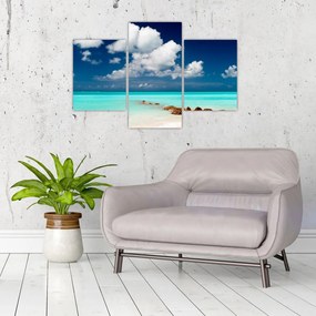 Obraz - Tropická pláž (90x60 cm)