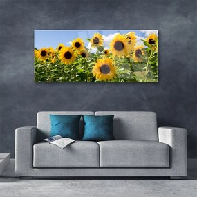 Obraz plexi Slnečnica kvet rastlina 125x50 cm