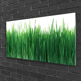 Skleneny obraz Tráva príroda rastlina 125x50 cm
