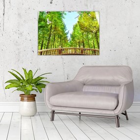 Sklenený obraz - Výhľad na les (70x50 cm)