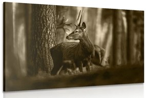 Obraz jeleň v borovicovom lese v sépiovom prevedení - 120x80