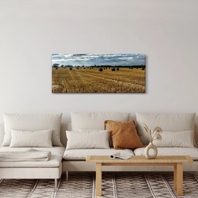 Obraz zozbieraného obilného poľa (120x50 cm)