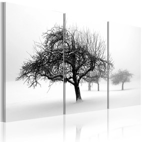 Artgeist Obraz - Trees submerged in white Veľkosť: 120x80, Verzia: Na talianskom plátne
