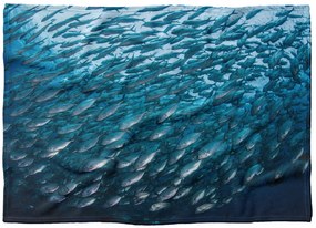 Deka Hejno rýb  (Rozmer: 200 x 140 cm, Podšitie baránkom: NE)