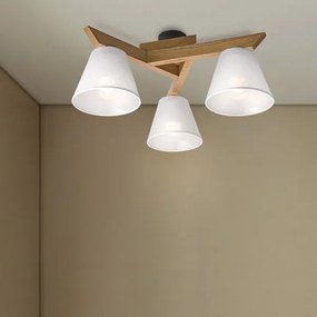 Brilagi - LED  Prisadený luster ANTHONY 3xE14/40W/230V dub/biela