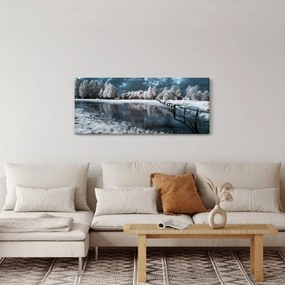 Obraz - Zamrznutá krajina (120x50 cm)