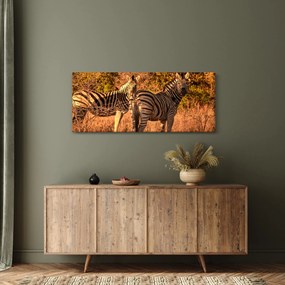 Obraz zebier (120x50 cm)