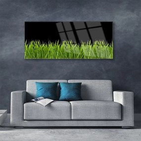 Obraz plexi Zelená tráva príroda 125x50 cm