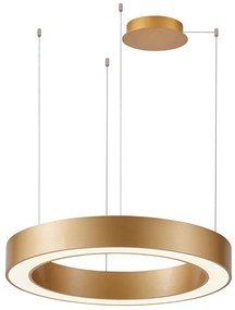 Azzardo AZ5051 - LED Stmievateľný luster na lanku MARCO LED/80W/230V zlatá + DO