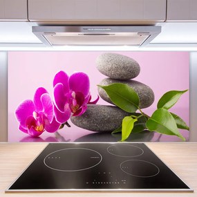 Sklenený obklad Do kuchyne Kvet kamene zen rastlina 125x50 cm