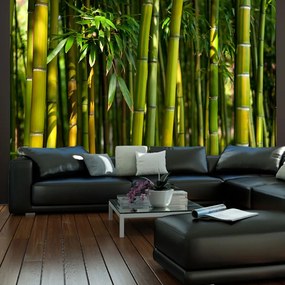 Artgeist Fototapeta - Asian bamboo forest Veľkosť: 250x193, Verzia: Standard