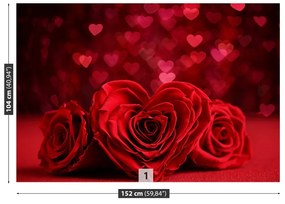 Fototapeta Vliesová Ruže srdce 152x104 cm