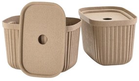 Košíky v súprave 2 ks 23x16x20.5 cm Pulp – Zone