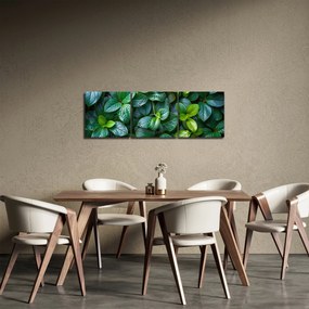 Obraz - Zelené rastliny (s hodinami) (90x30 cm)