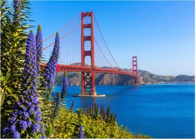 Sklenený obraz - Golden Gate Bridge, San Francisco (70x50 cm)
