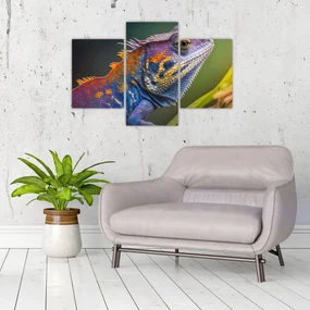 Obraz - Sfarbený leguán (90x60 cm)