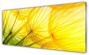 Obraz plexi Púpavy kvety príroda 125x50 cm