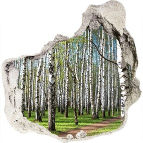 Fototapeta diera na stenu 3D Brezového lesa nd-p-64516023