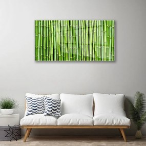Obraz na skle Bambus kvet rastlina 125x50 cm