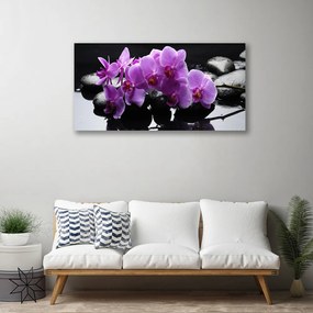 Obraz Canvas Kvet kamene rastlina 140x70 cm