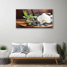 Skleneny obraz Kamene zen biela orchidea 100x50 cm