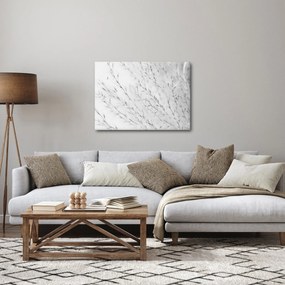 Obraz - Pampas grass N⁰2 (70x50 cm)