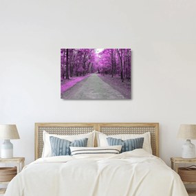 Sklenený obraz - Cesta parkom (70x50 cm)