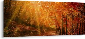 Obraz jesenného lesa (120x50 cm)