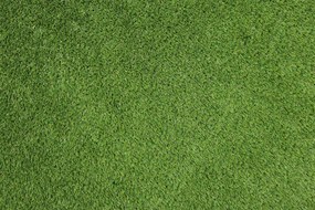 Artificial grass specialists AKCIA: 90x420 cm Umelá tráva Rosemary NEW metrážna - Rozmer na mieru cm