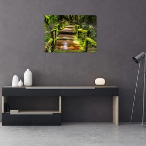 Sklenený obraz schodov v dažďovom pralese (70x50 cm)