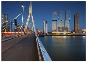 Sklenený obraz - Súmrak v Rotterdame, Holandsko (70x50 cm)
