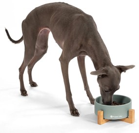 Keramická miska na bambusovém stojanu pro psy a kočky CATI šedá