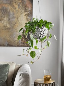 Philodendron scandens hanger 28x80 cm