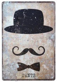 Ceduľa plechová 20x30 MP9