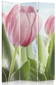Gario Paraván Svieži ružový tulipán Rozmery: 110 x 170 cm, Prevedenie: Klasický paraván