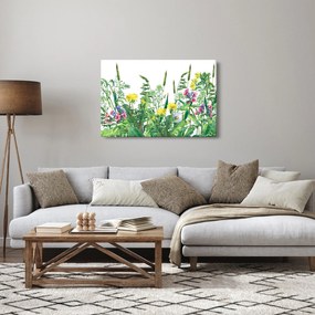 Obraz - Maľované lúčne kvety (90x60 cm)