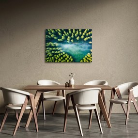 Obraz - Hmlou zahalený les (70x50 cm)