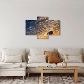 Obraz - Palmy medzi mrakmi (90x60 cm)
