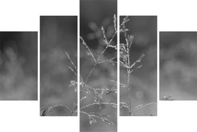 Obraz - Vidiecka lúka (150x105 cm)