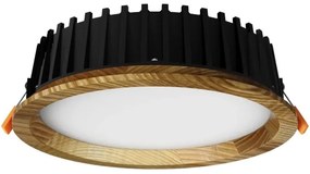APLED - LED Podhľadové RONDO WOODLINE LED/6W/230V 3000K pr. 15 cm jaseň masív