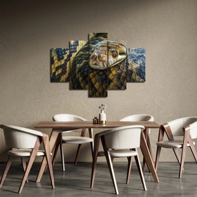 Obraz - Pytón (150x105 cm)