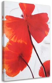 Obraz na plátně Mák Květina Červená příroda - 70x100 cm