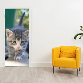 Fototapeta na dvere - Mačiatko (95x205cm)