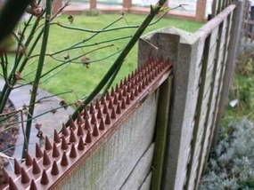 Plastové ochranné hroty proti vtákom sivá, 50 x 4,5 cm, 4 ks